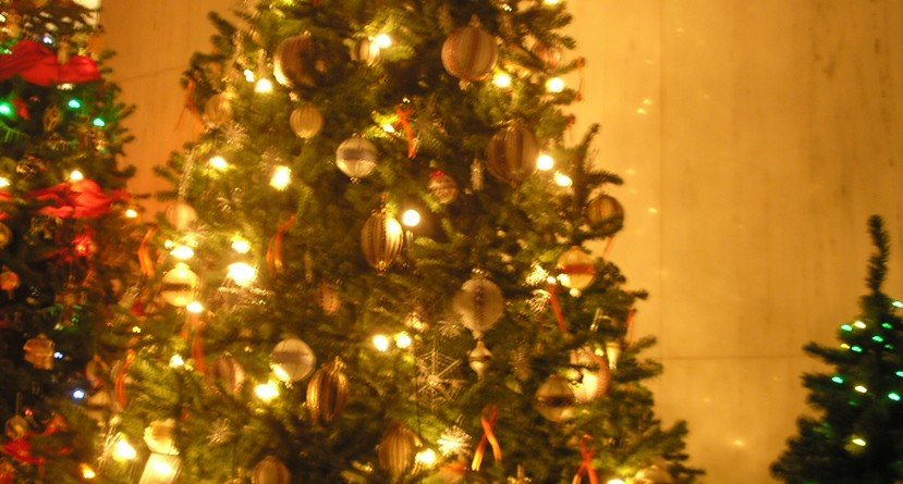 The House Without a Christmas Tree